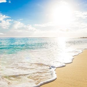 Meet your Posher, Sydney